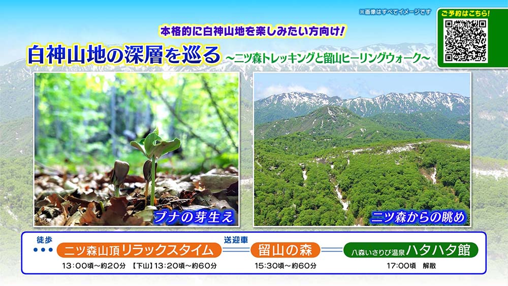 白神山地の深層を巡る二ツ森トレッキングと留山ヒーリングウォーク