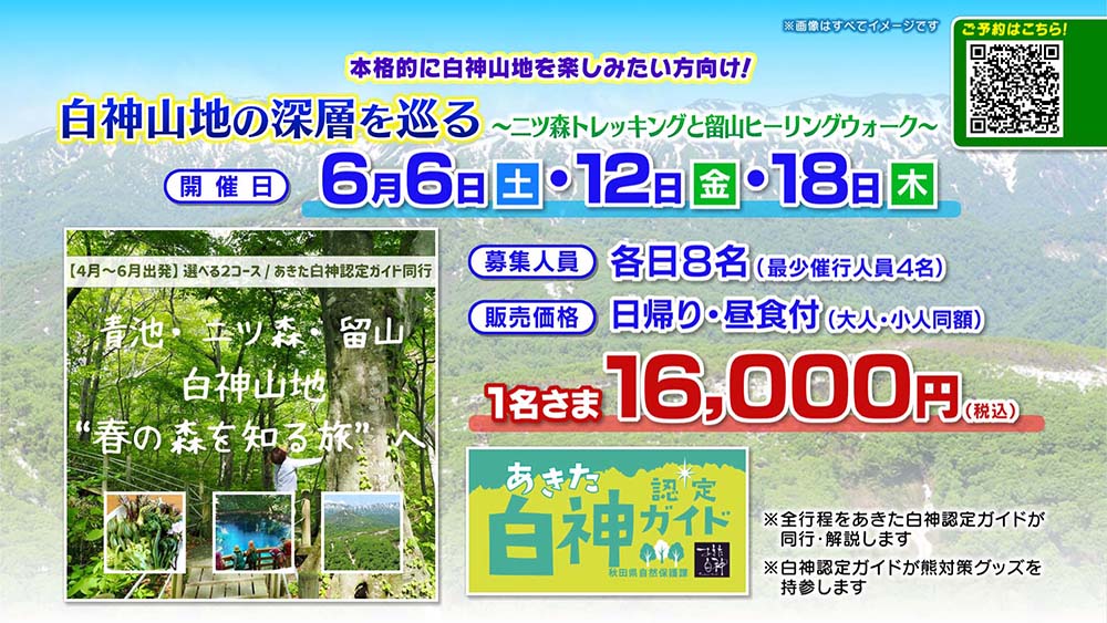 白神山地の深層を巡る二ツ森トレッキングと留山ヒーリングウォーク