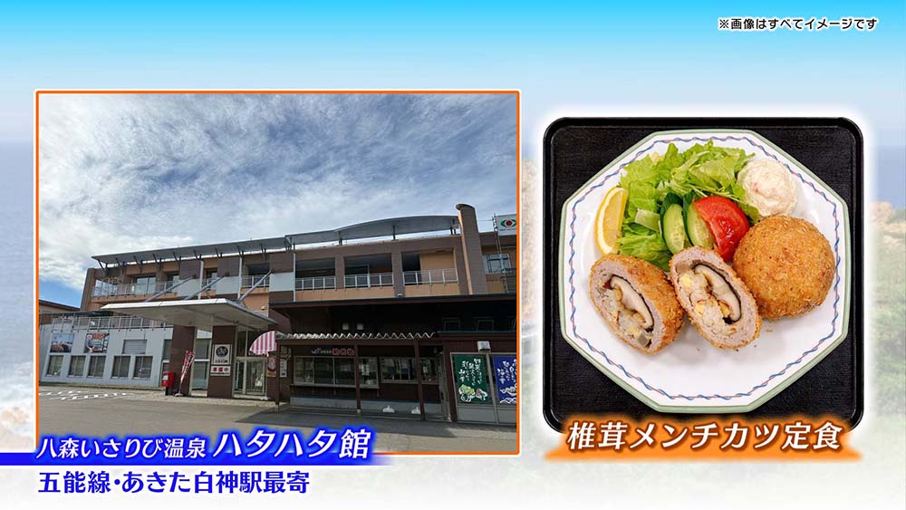 白神山地の深層を巡る二ツ森トレッキングと留山ヒーリングウォーク