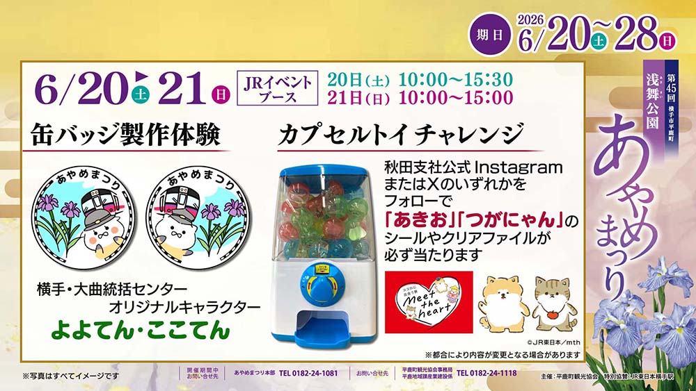 第45回浅舞公園あやめまつり