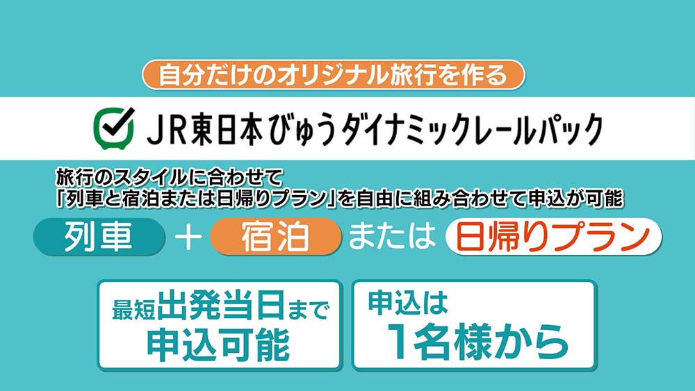 JR東日本びゅうダイナミックレールパック