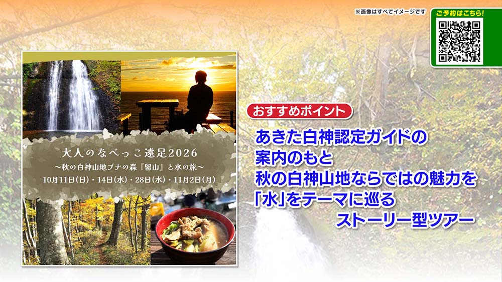 大人のなべっこ遠足2026~秋の白神山地ブナの森『留山』と水の旅~