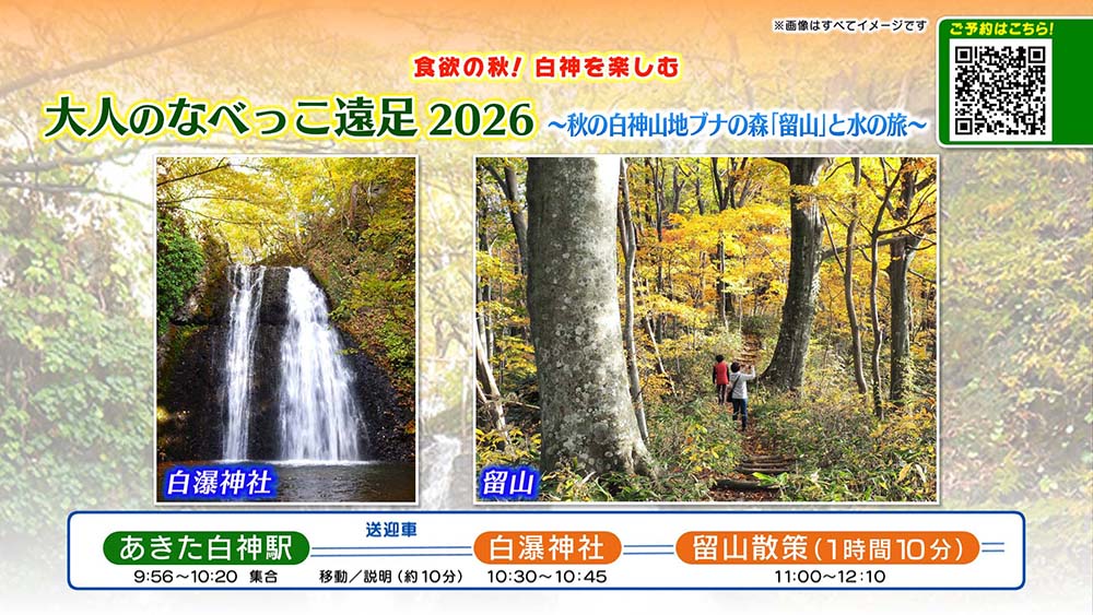 大人のなべっこ遠足2026~秋の白神山地ブナの森『留山』と水の旅~