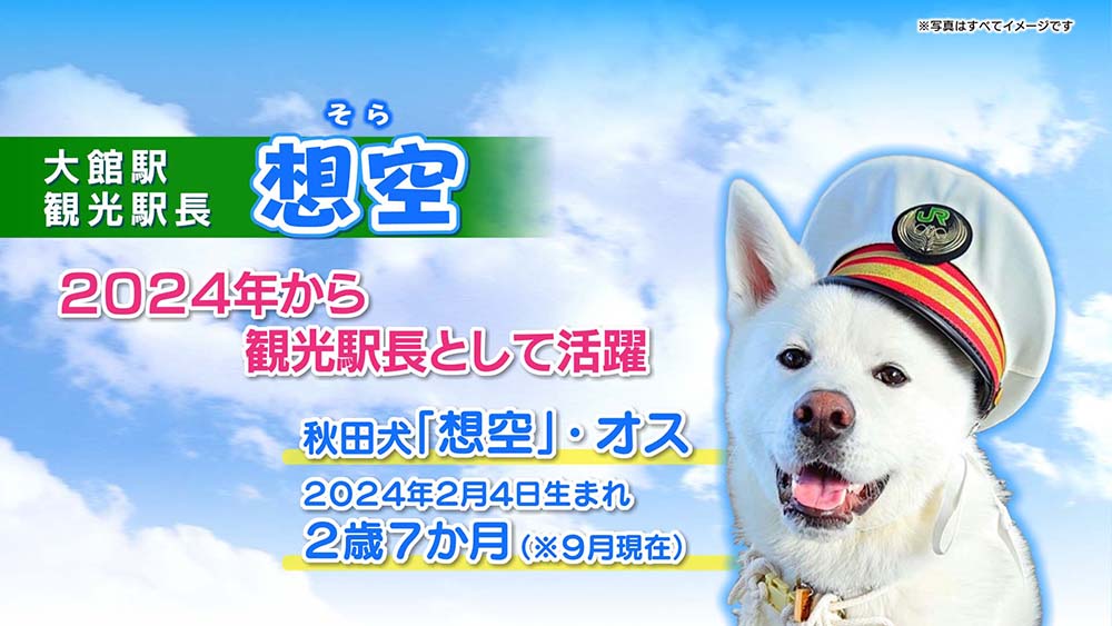 奥羽本線沿線のおすすめ情報