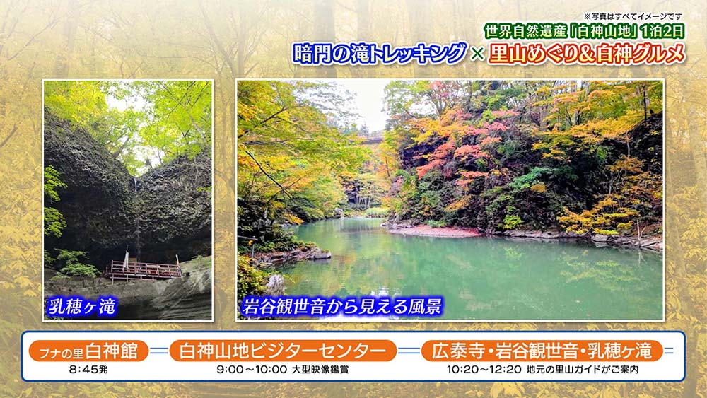 奥羽本線沿線のおすすめ情報
