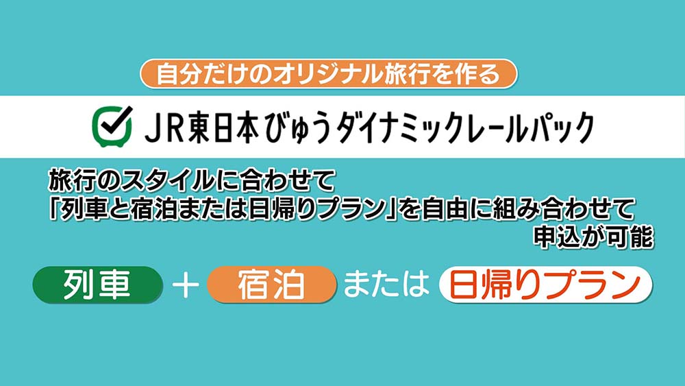 JR東日本びゅうダイナミックレールパック