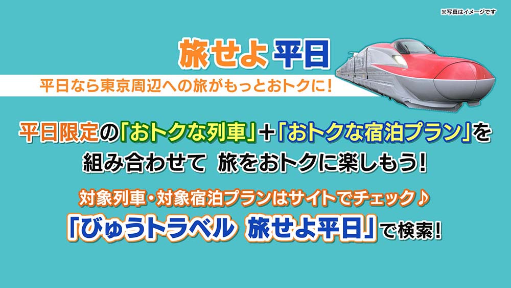 JR東日本びゅうダイナミックレールパック