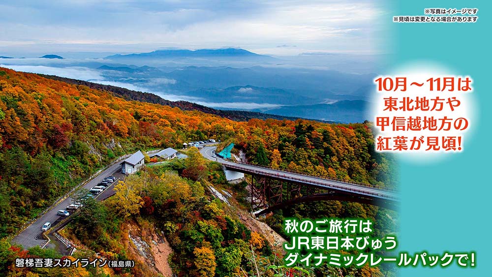 JR東日本びゅうダイナミックレールパック