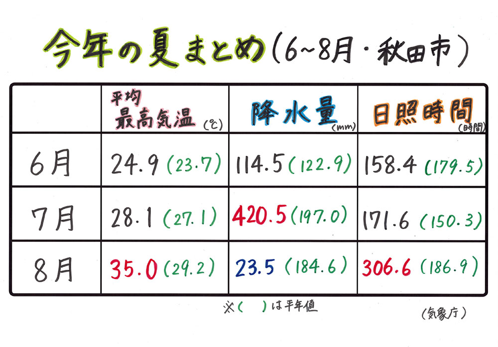 今年の夏まとめ