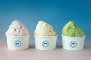 AKITA GELATO<br>8月3日オープン