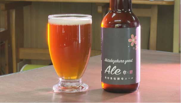 KINNOKURA Ale<br>5月10日発売