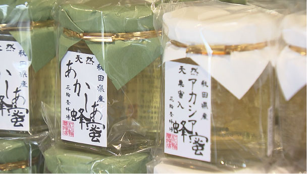 道の駅 十和田湖