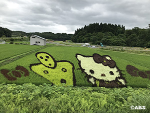 田んぼアート