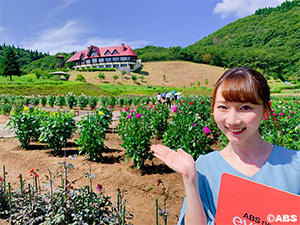 秋田国際ダリア園