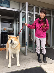 阿仁スキー場の看板犬