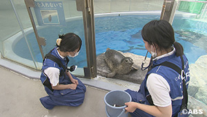 練習