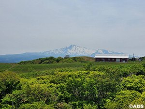 鳥海山