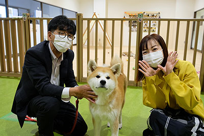 秋田犬の里