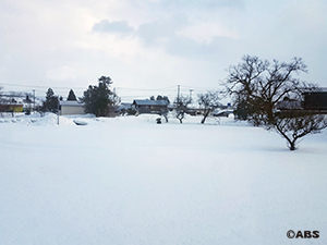 新幹線からの雪景色