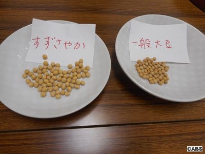 秋田で育まれた大豆　無臭大豆「すずさやか」のお豆腐