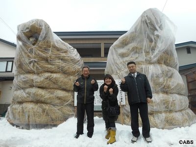 刈和野の大綱引き