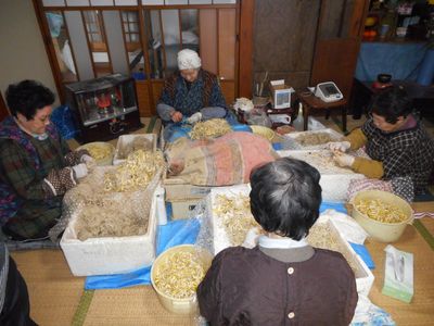 ひろっこの　根っこ　切り作業!!～湯沢市～