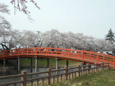 横手市十文字★梨木公園★