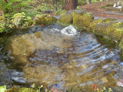 ボツメキ湧水