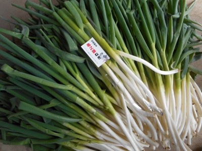 秋田の伝統野菜　～亀之助ねぎ～　大仙市四ツ屋