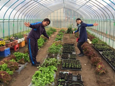 工夫を凝らした野菜たち～能代市　オオヤマファーム　大山真士さん～