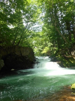 秋田市河辺の「伏伸の滝」