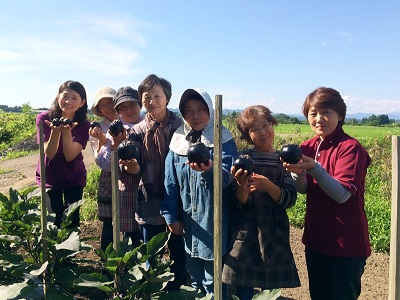 秋田の伝統野菜　～仙北丸なす～　大仙市神岡