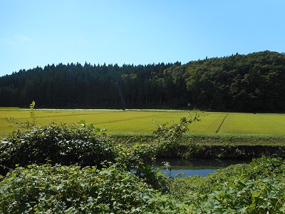 風景