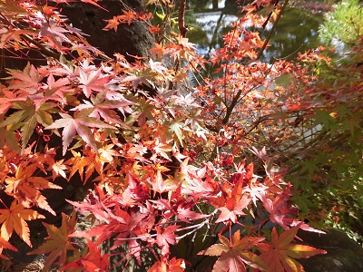 大きい秋み～つけた♪