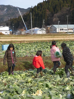 キャベツ畑でいただきます♪