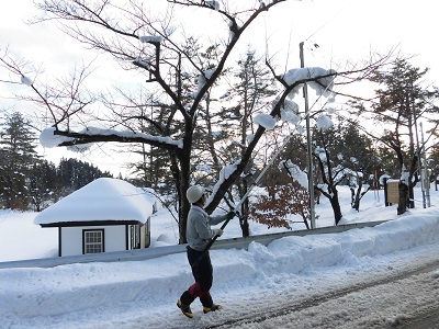 高枝ばさみ