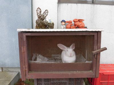 小屋にいるよ