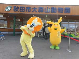 大森山動物園、きょう、春が来た！