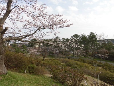 公園