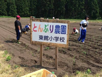 とんぶり農園！