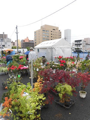 第５８回秋田植木まつり