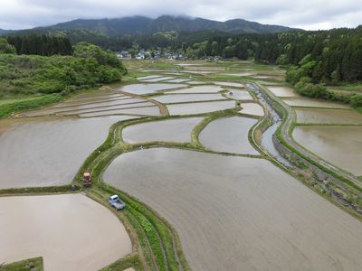 棚田　集落側