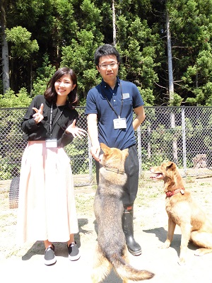 秋田県動物管理センター　犬、猫のパートナー募集
