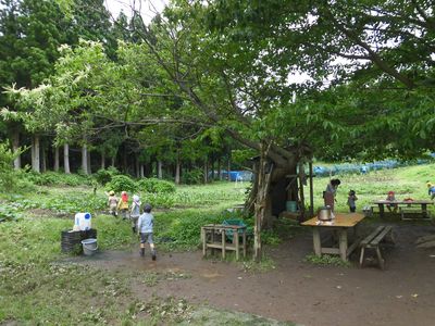 野外保育Akitaこどもの森ようちえん