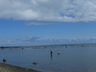 鵜ノ崎海岸