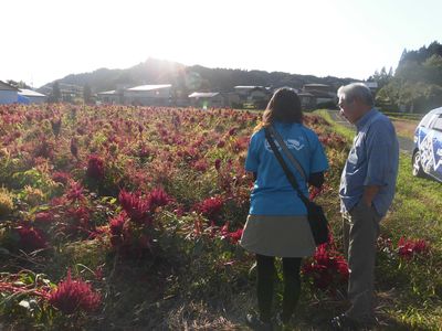 ラジパル日記 あきた雑穀村 くまさん自然農園 Abs秋田放送