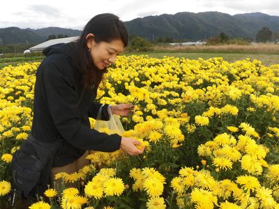 かおり　摘む