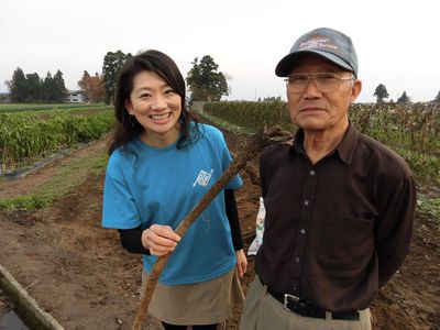 あきた伝統野菜　「石橋ごぼう」　大仙市