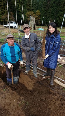 あきたの伝統野菜　「田沢ながいも」～田沢地区見附田～