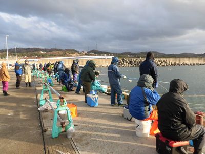 ハタハタ　釣ったどーー☆